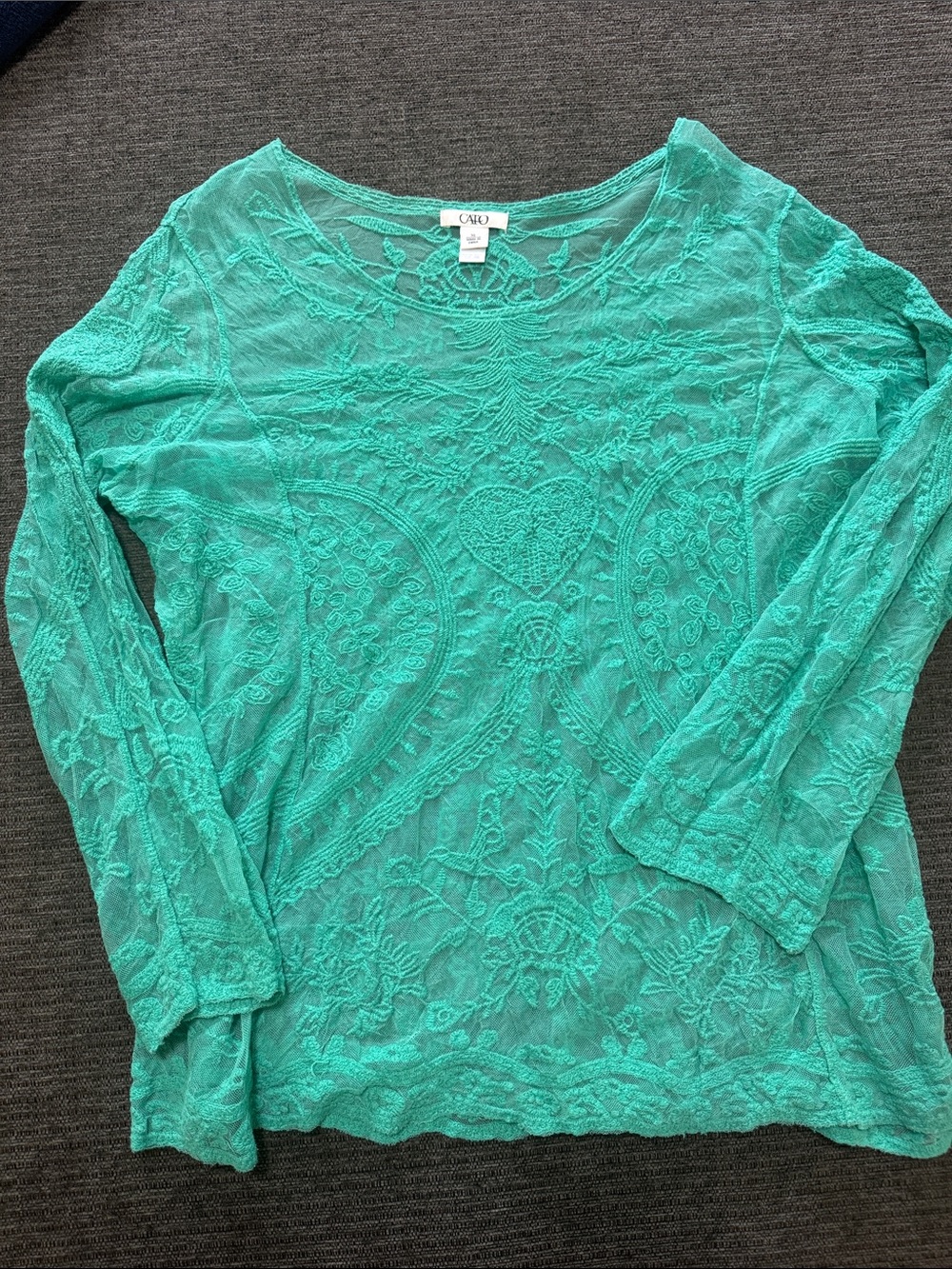 Sheer lace long sleeve top XL